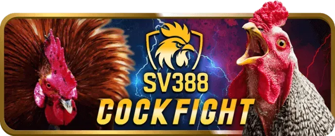 Các game bài truyền thống và hiện đại